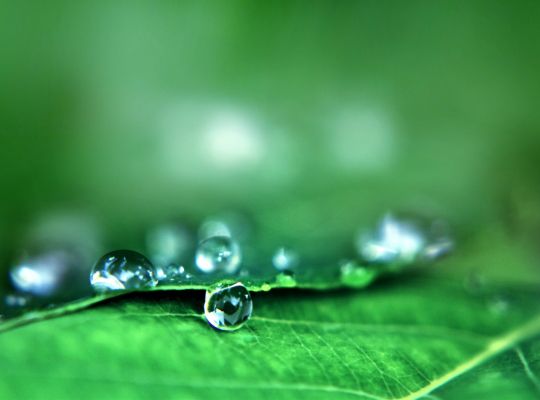 Image de Chanvre, cannabidiol, un nouvel usage ? (mise à jour 30 décembre 2022)